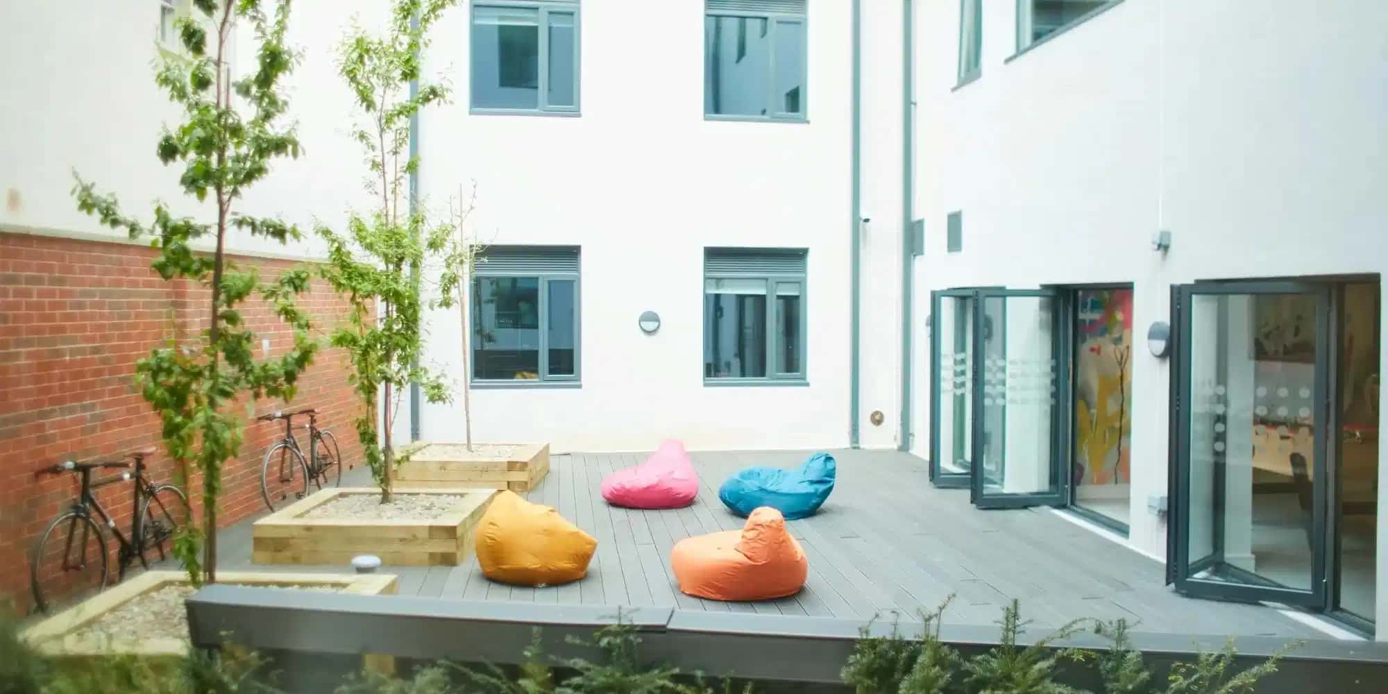 Exeter Elm, Exeter - 3