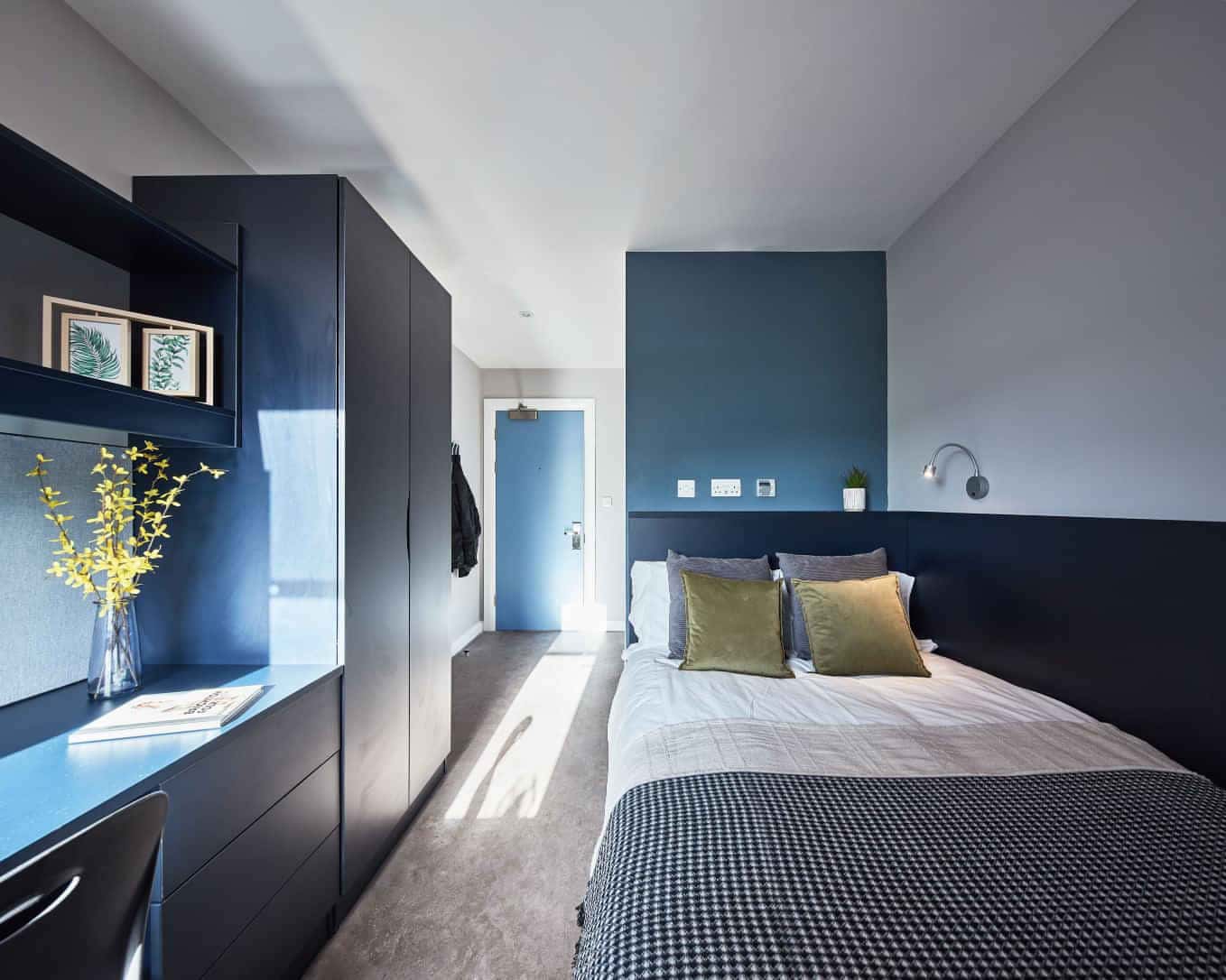 Alumno Falmer, Brighton - 1