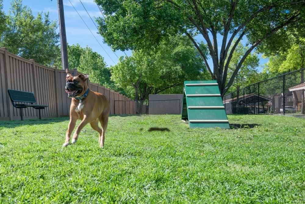 Rancho Palisades, Dallas - 3