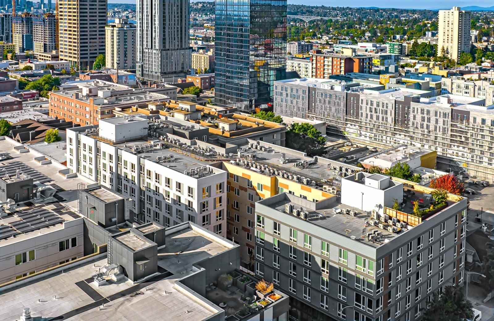 Theory U District, Seattle - 4