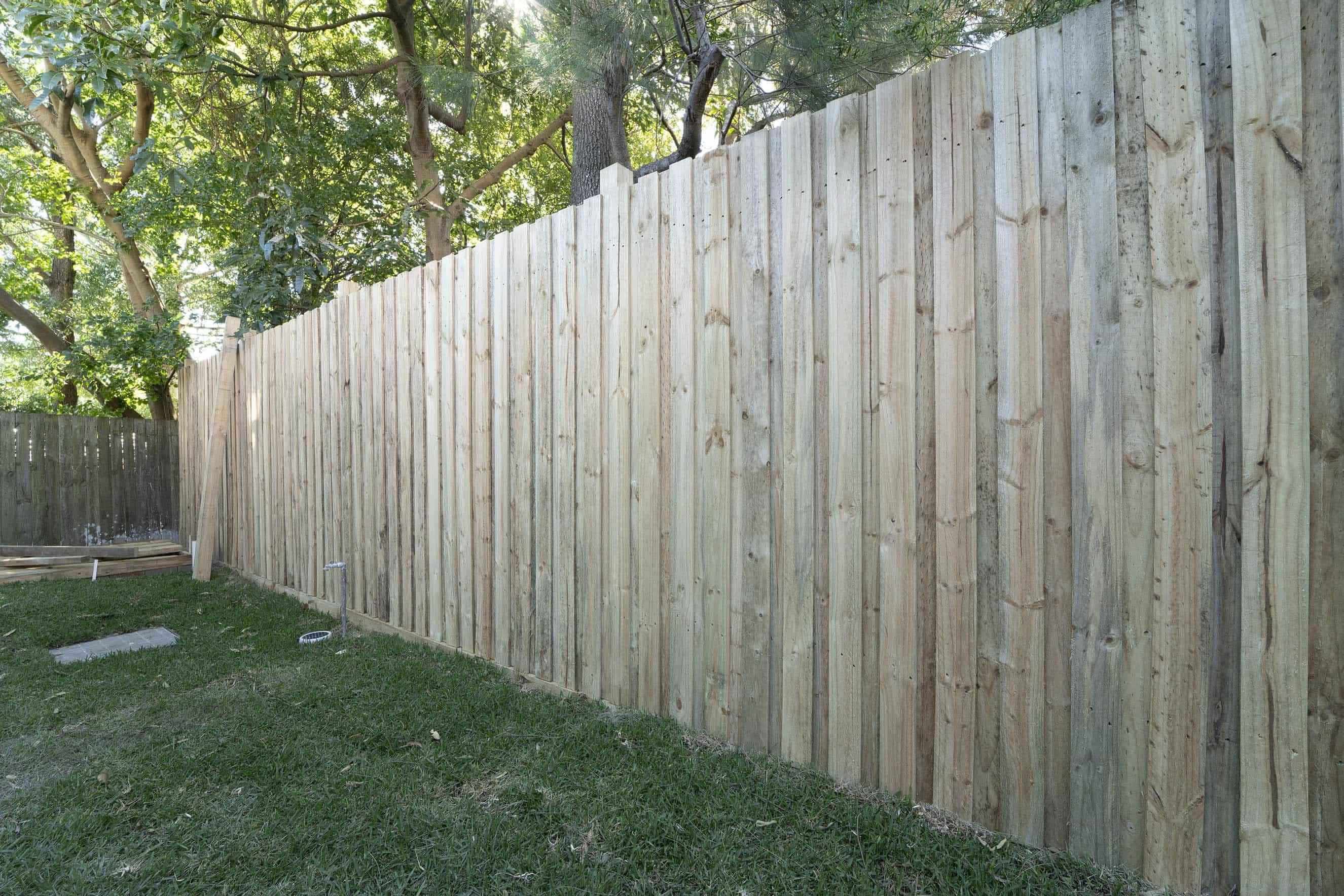 Room in a 12 Bedroom Apartment, 14 Holt, Stanmore, Sydney - 4