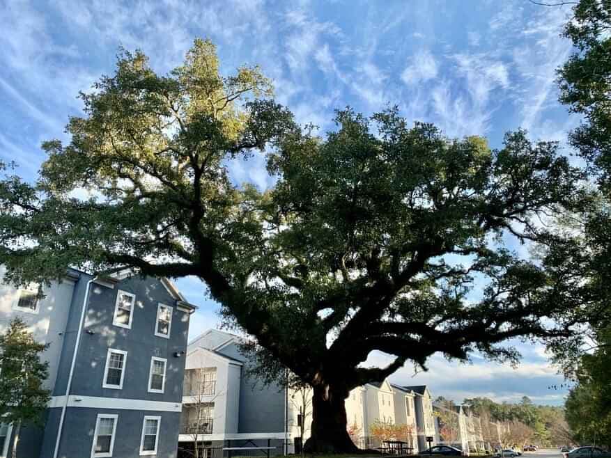 propertiesDetail image 25