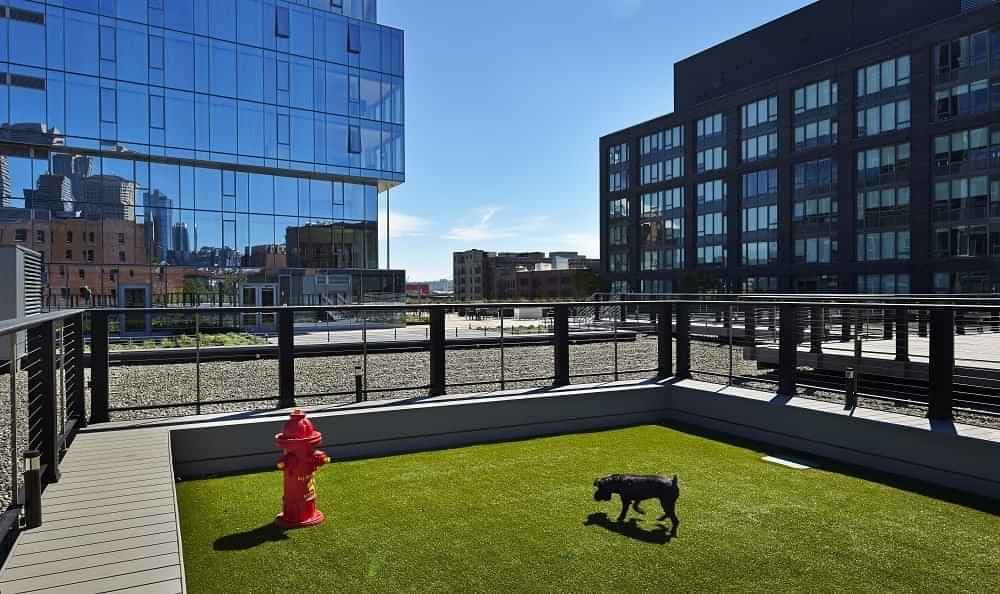 propertiesDetail image 3