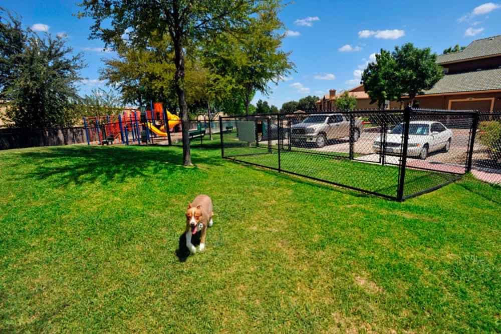 propertiesDetail image 7