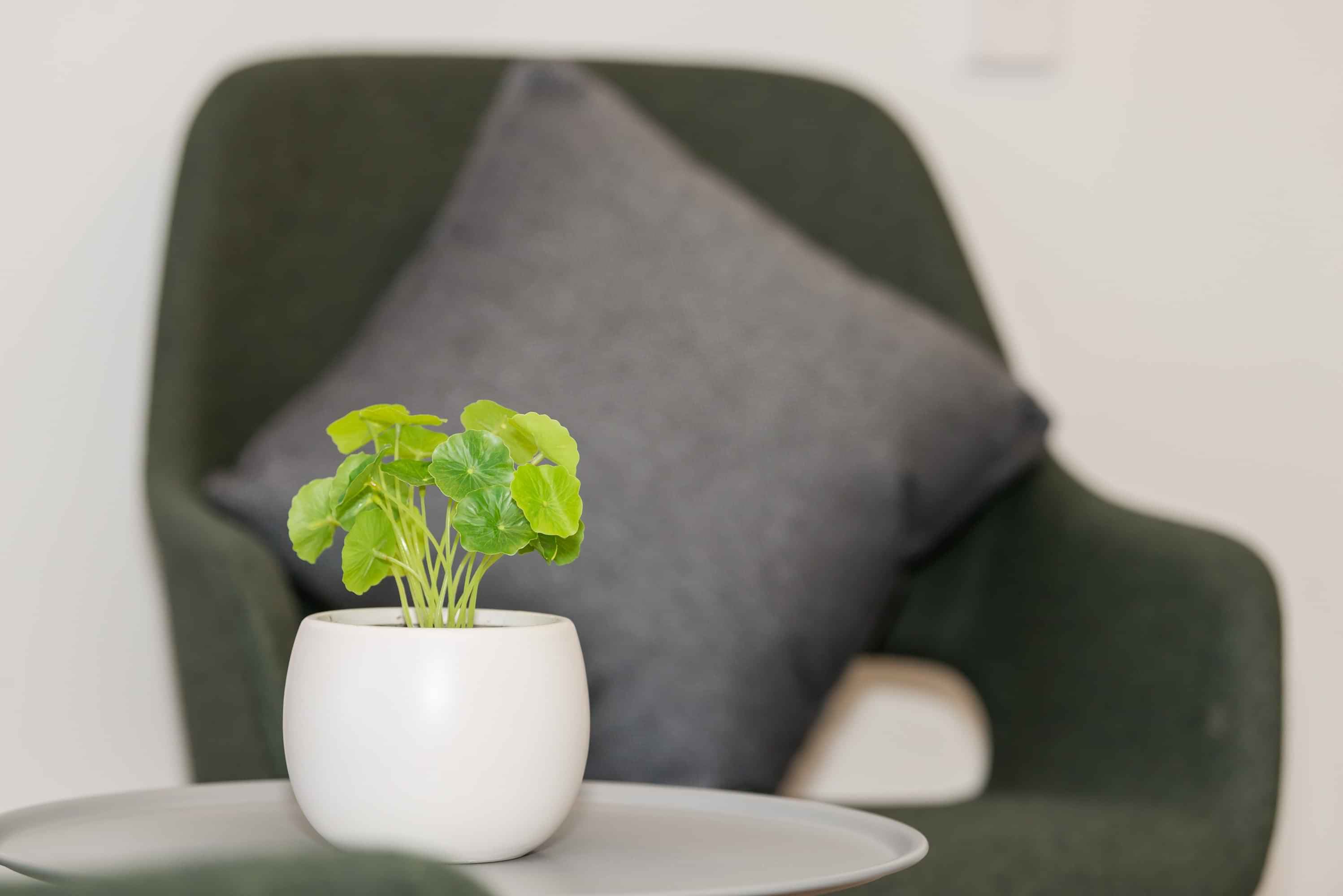 propertiesDetail image 68