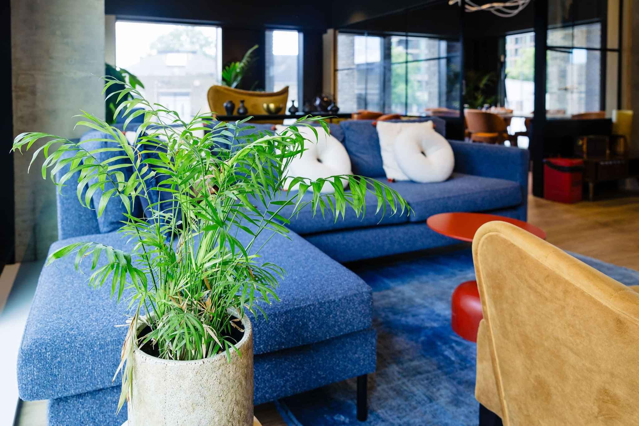 propertiesDetail image 46