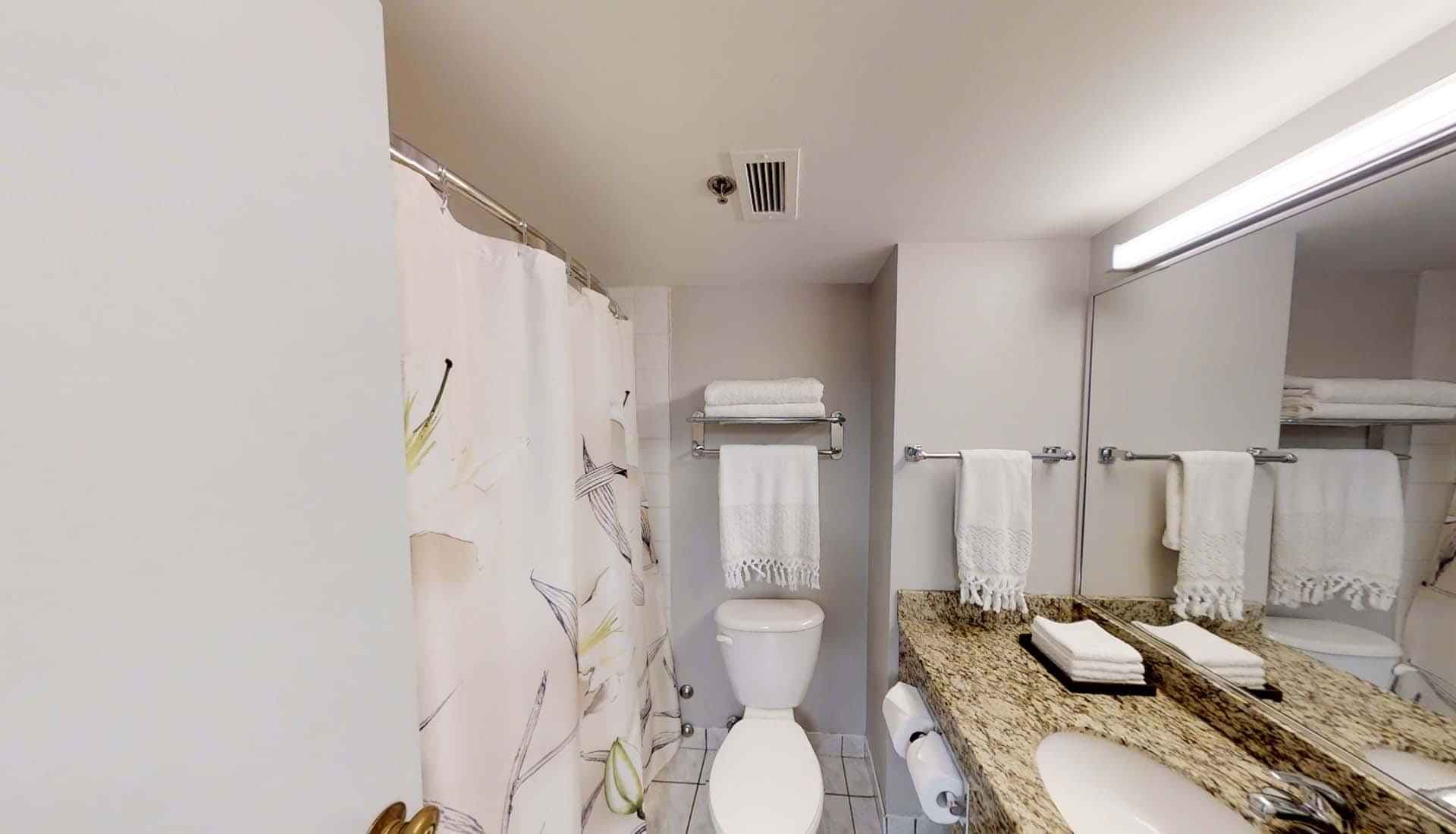 Single Deluxe - Image 4