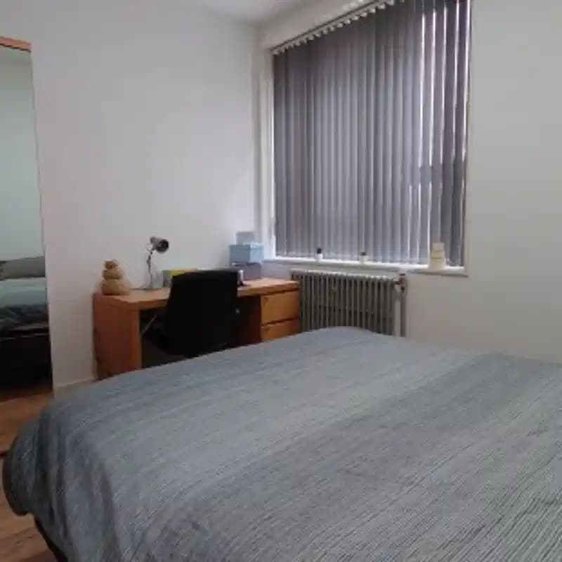 Standard 6 Bedroom Apartment  - Image 10