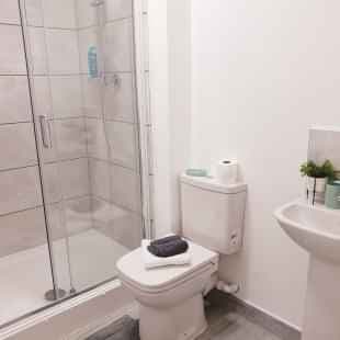 Deluxe Recently Refubished - Image 7