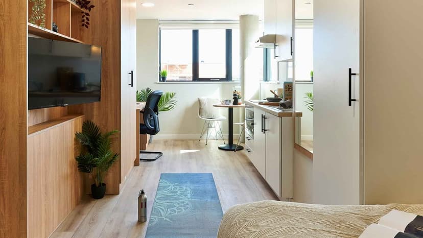Accessible Platinum Plus Studio - Image 2