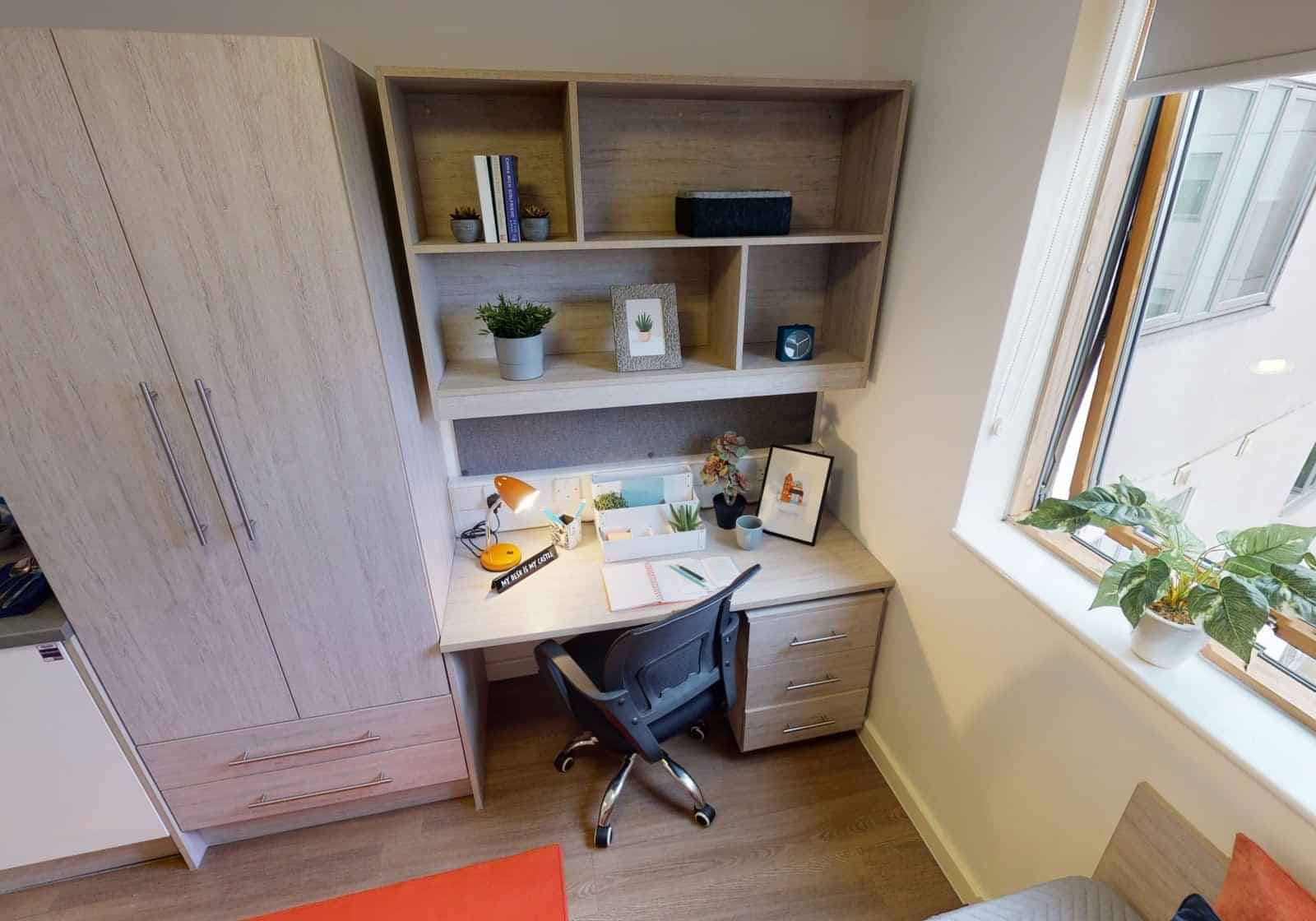 Bronze Studio Plus - Image 9