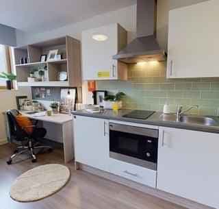 Silver Studio Plus - Image 2