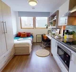 Silver Studio Plus - Image 5