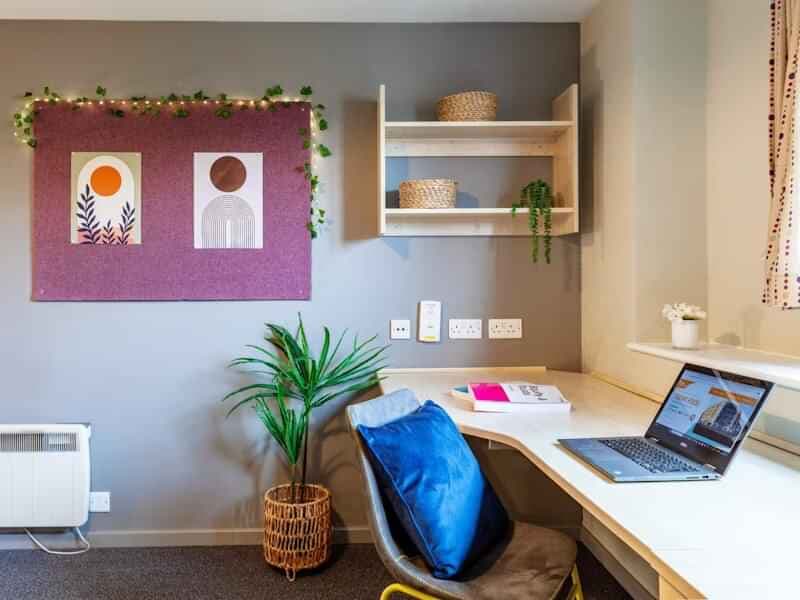 Standard Ensuite - Image 4