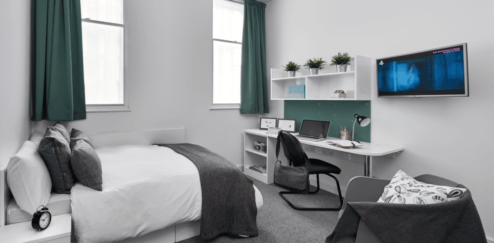 Standard Plus Studio - Image 1