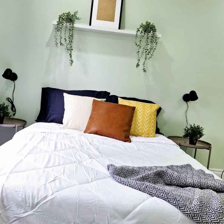 Bluejay Room( 1 Bed 1 Bath ) - Image 2