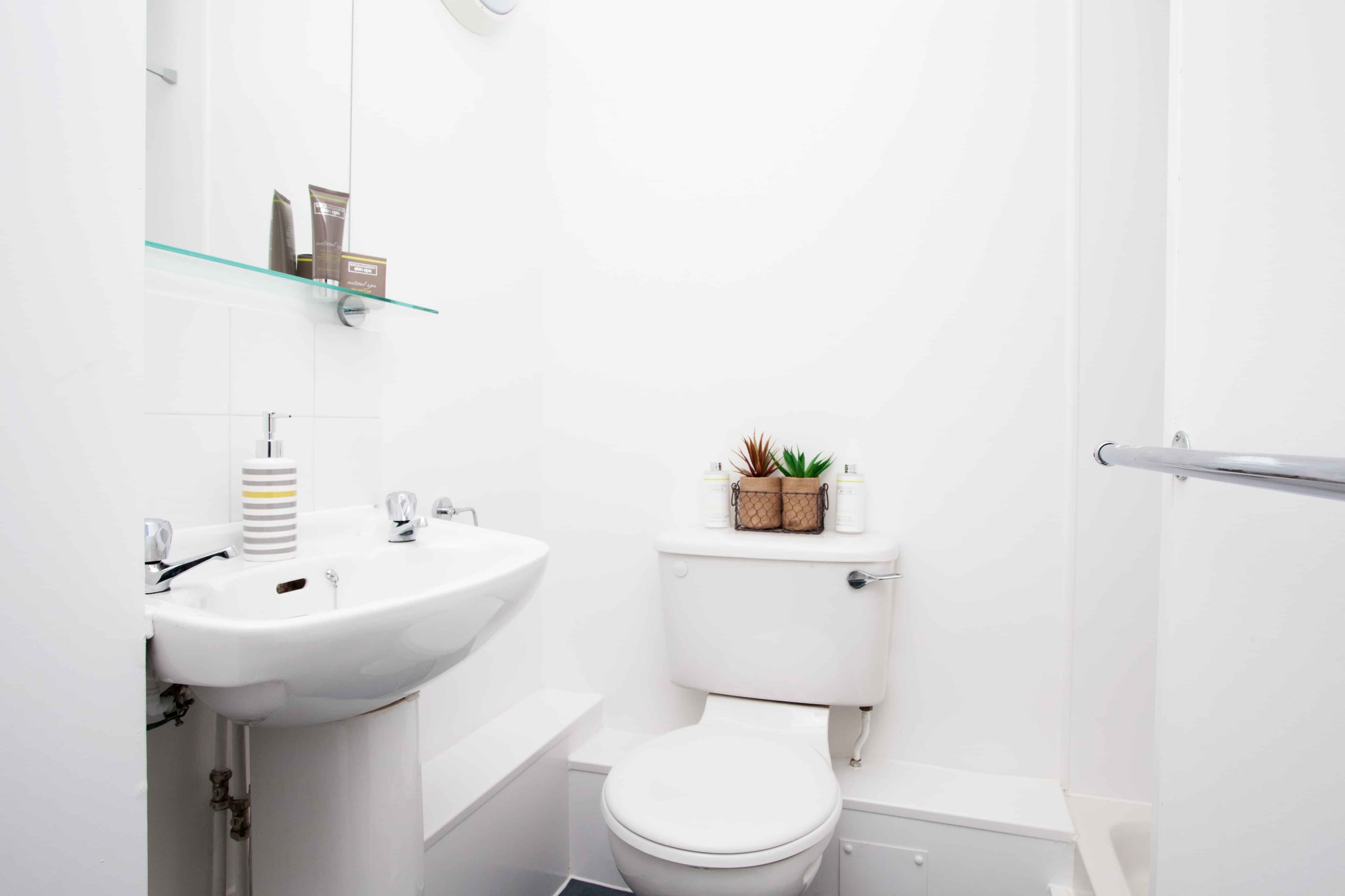 Basic Ensuite - Image 5