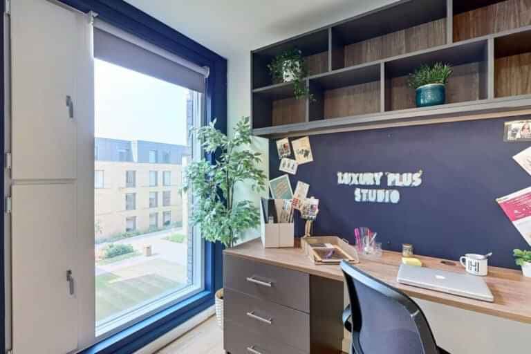 Luxury Plus Studio - Image 4