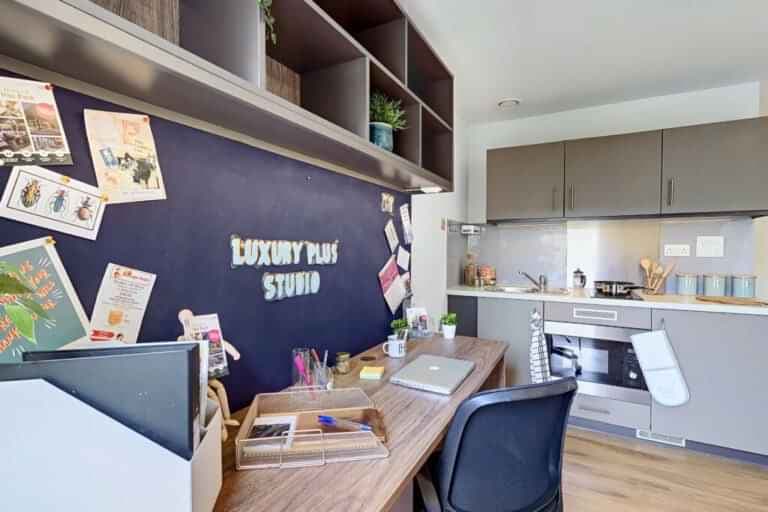 Luxury Plus Studio - Image 2