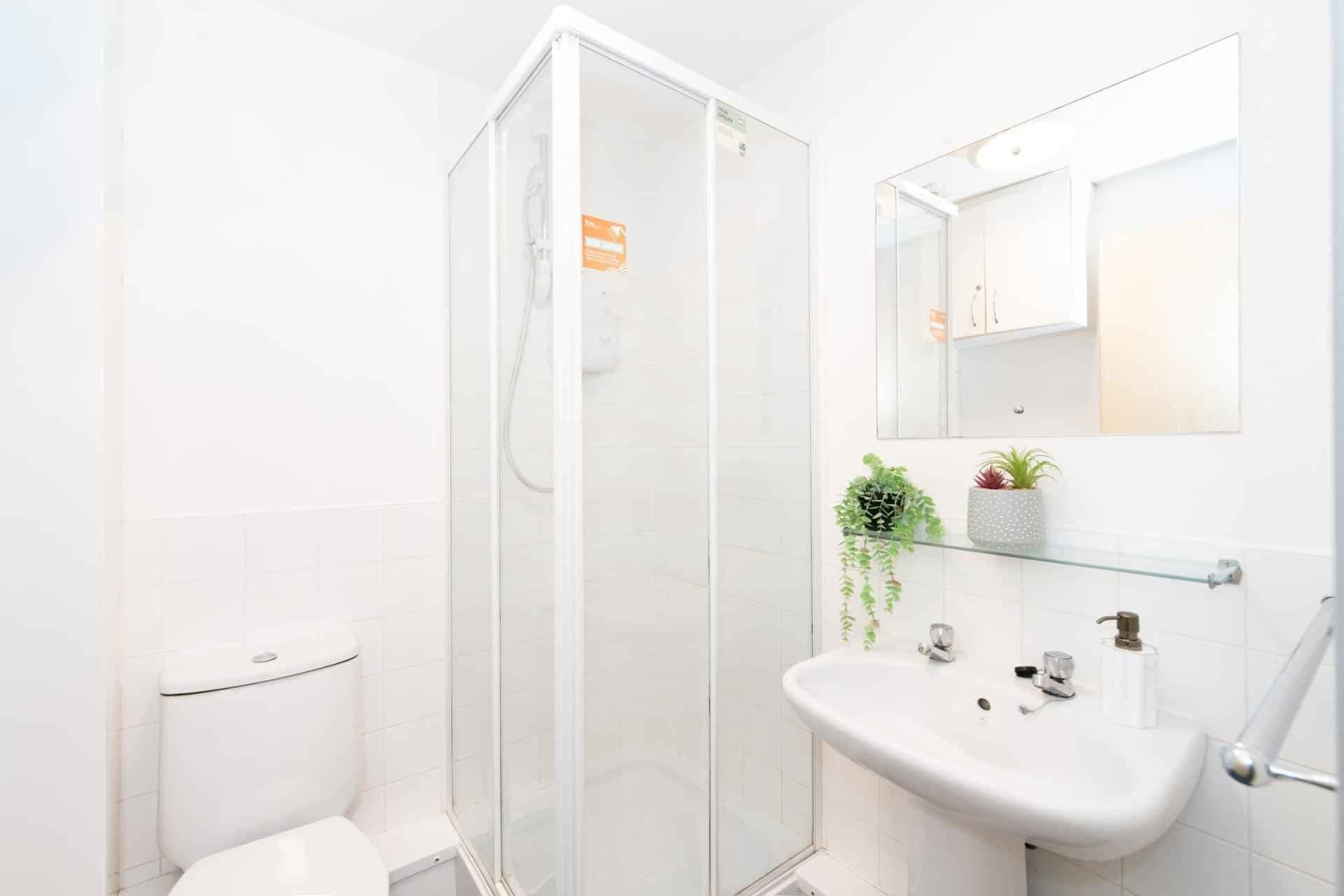 Classic Studio - Image 2