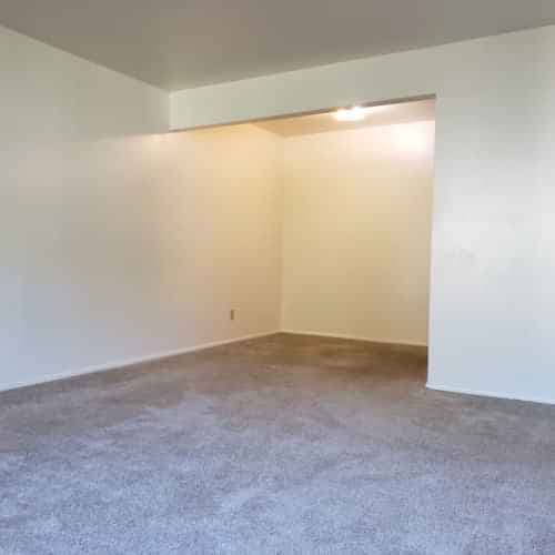 Studio - Image 1