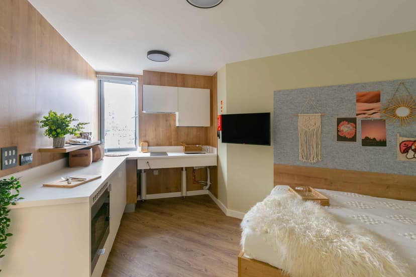 Extra Large Double Studio - Image 1