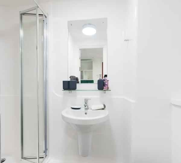 Ensuite Silver - Image 3