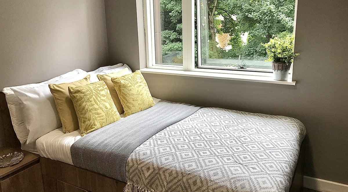 Classic Studio Plus - Image 3