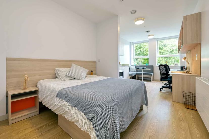 Luxury Plus studio  - Image 1