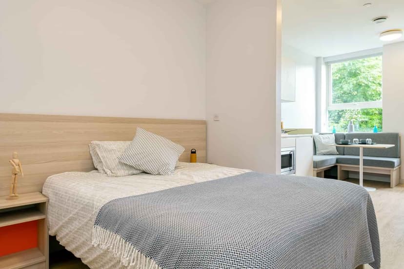 Luxury Plus studio  - Image 4