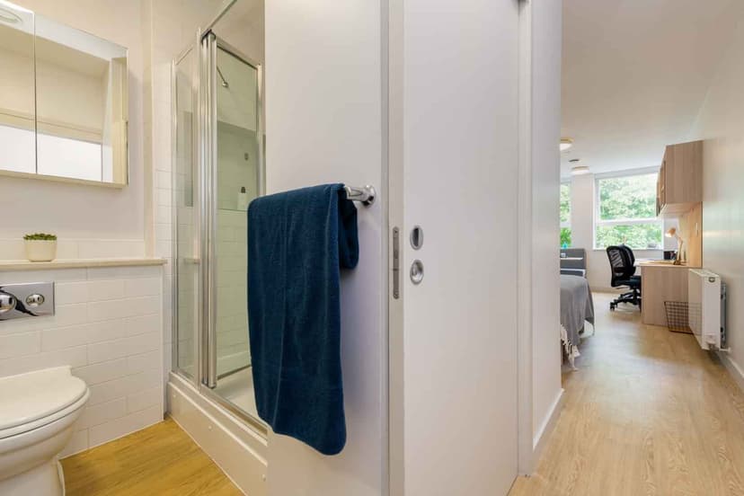 Luxury Plus studio  - Image 3