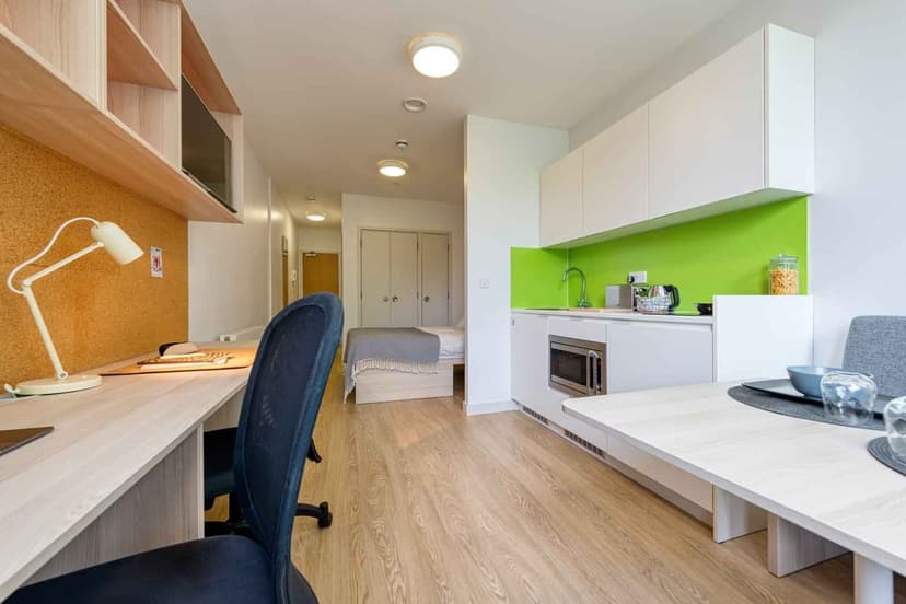 Luxury Plus studio  - Image 11
