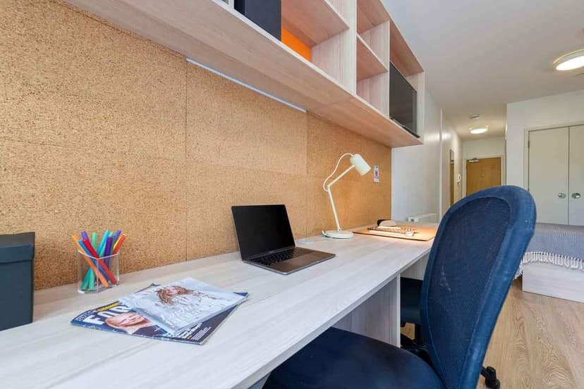 Luxury Plus studio  - Image 10