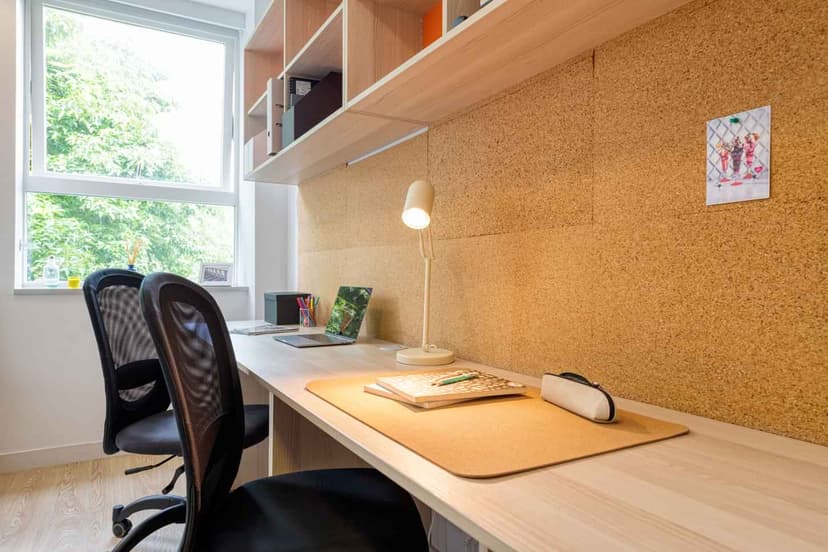 Luxury Plus studio  - Image 7