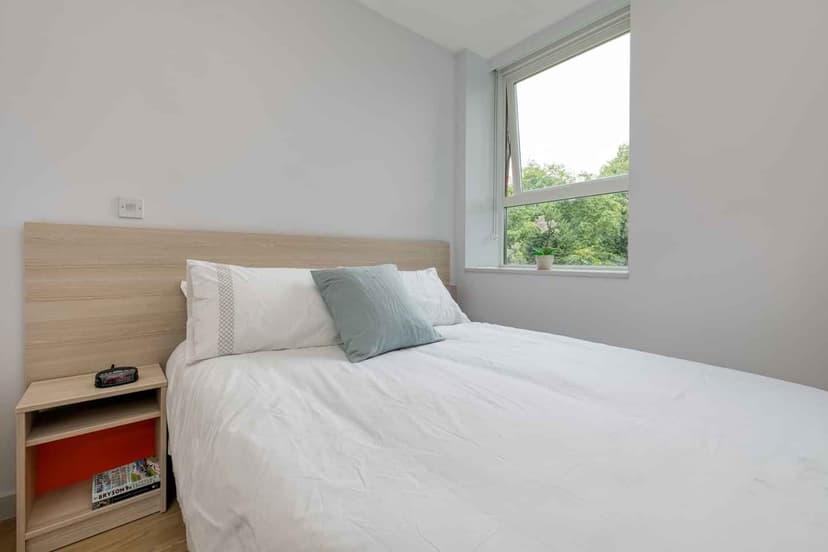 VIP Studio - Image 11
