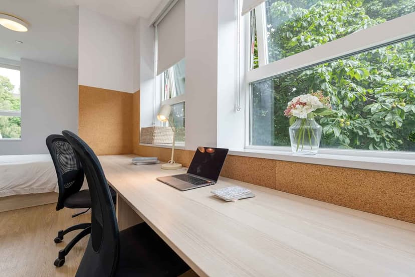VIP Studio - Image 9