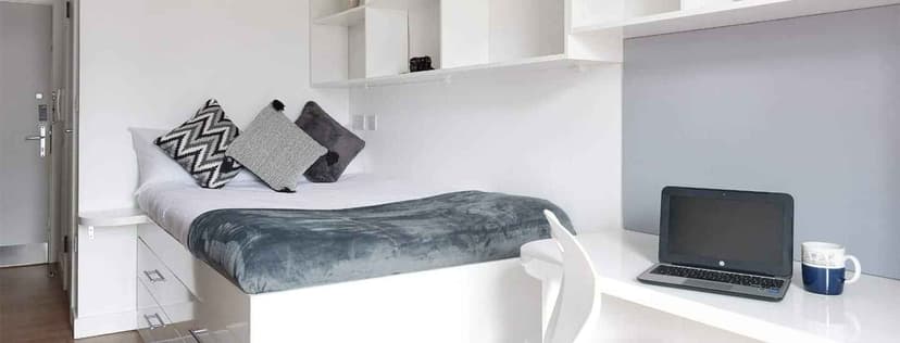 Premier Ensuite in a 13 bed apartment - Image 4