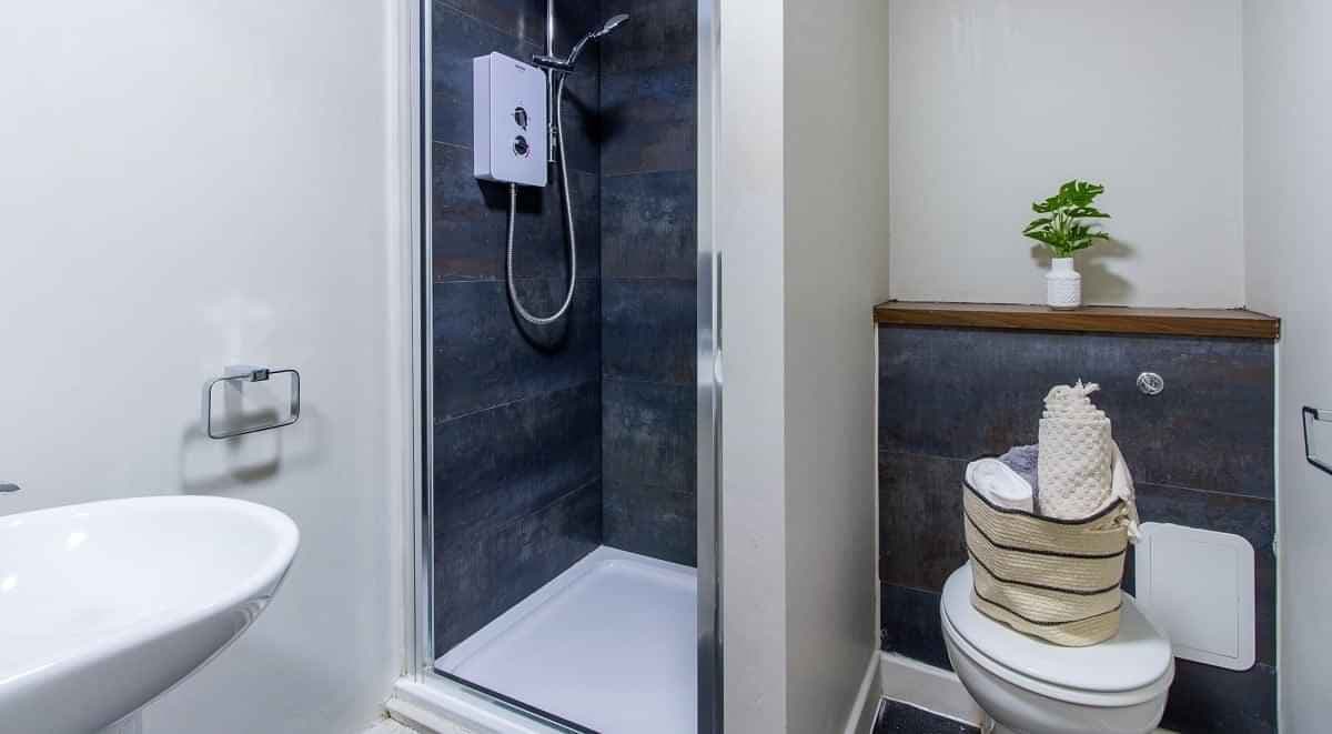 Platinum Plus Suite - Image 5