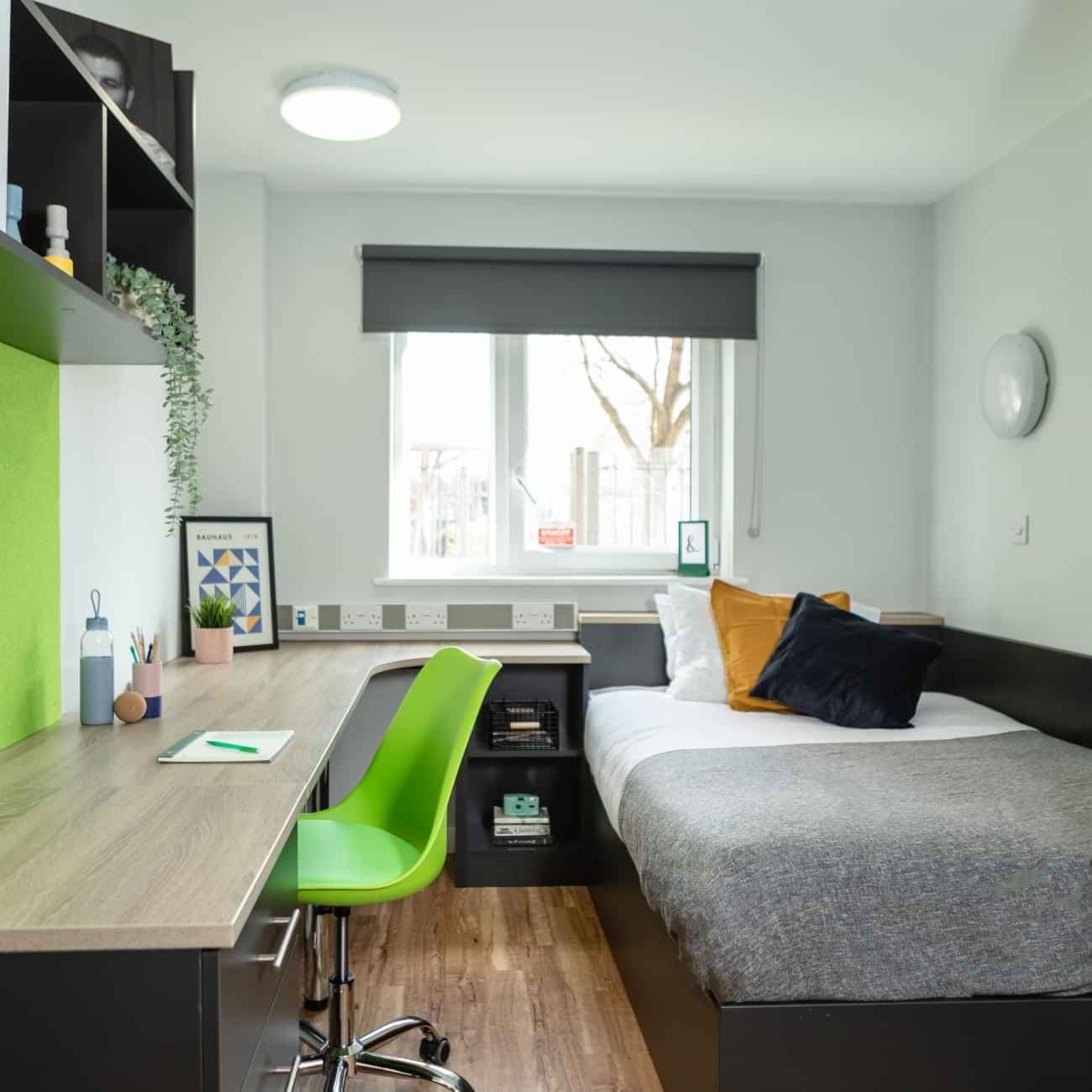 Silver Plus  - Image 1