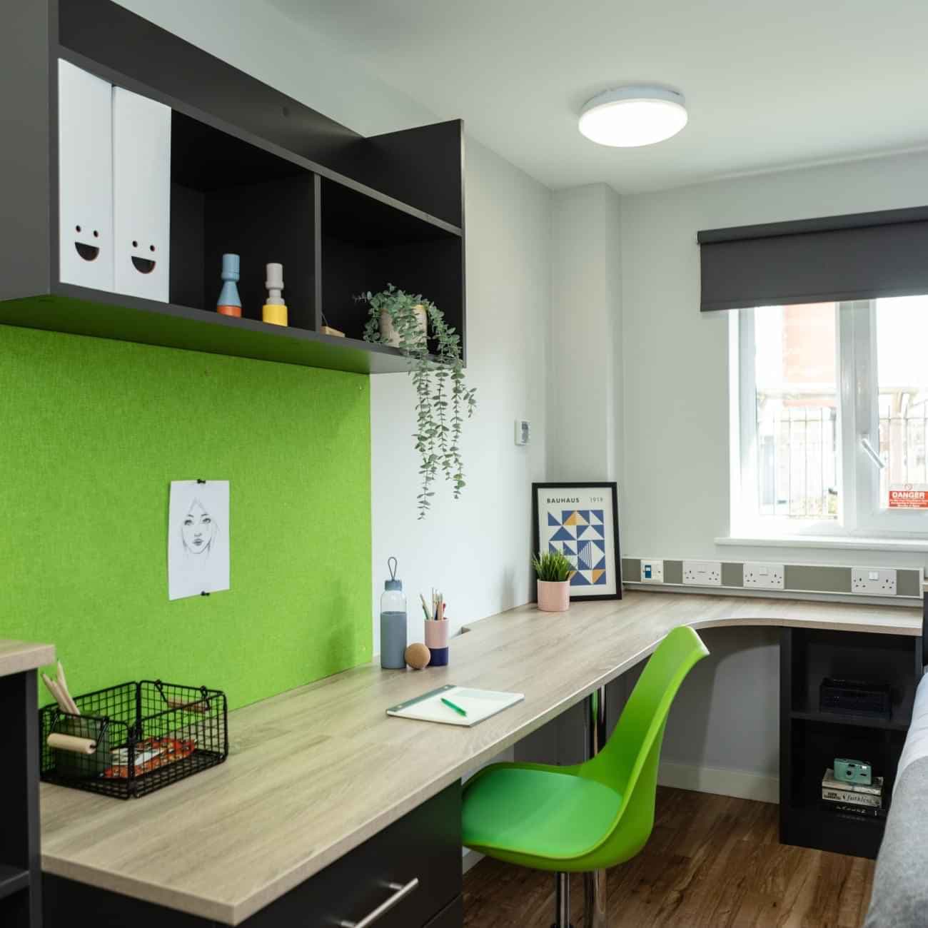 Silver Plus  - Image 3