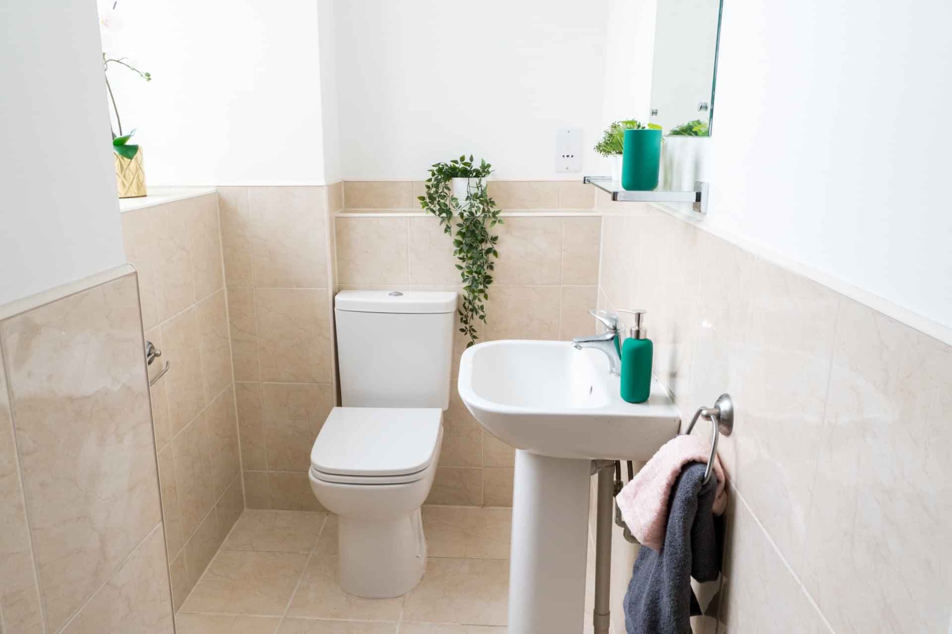 3 Bed En-Suite Cluster - Image 2