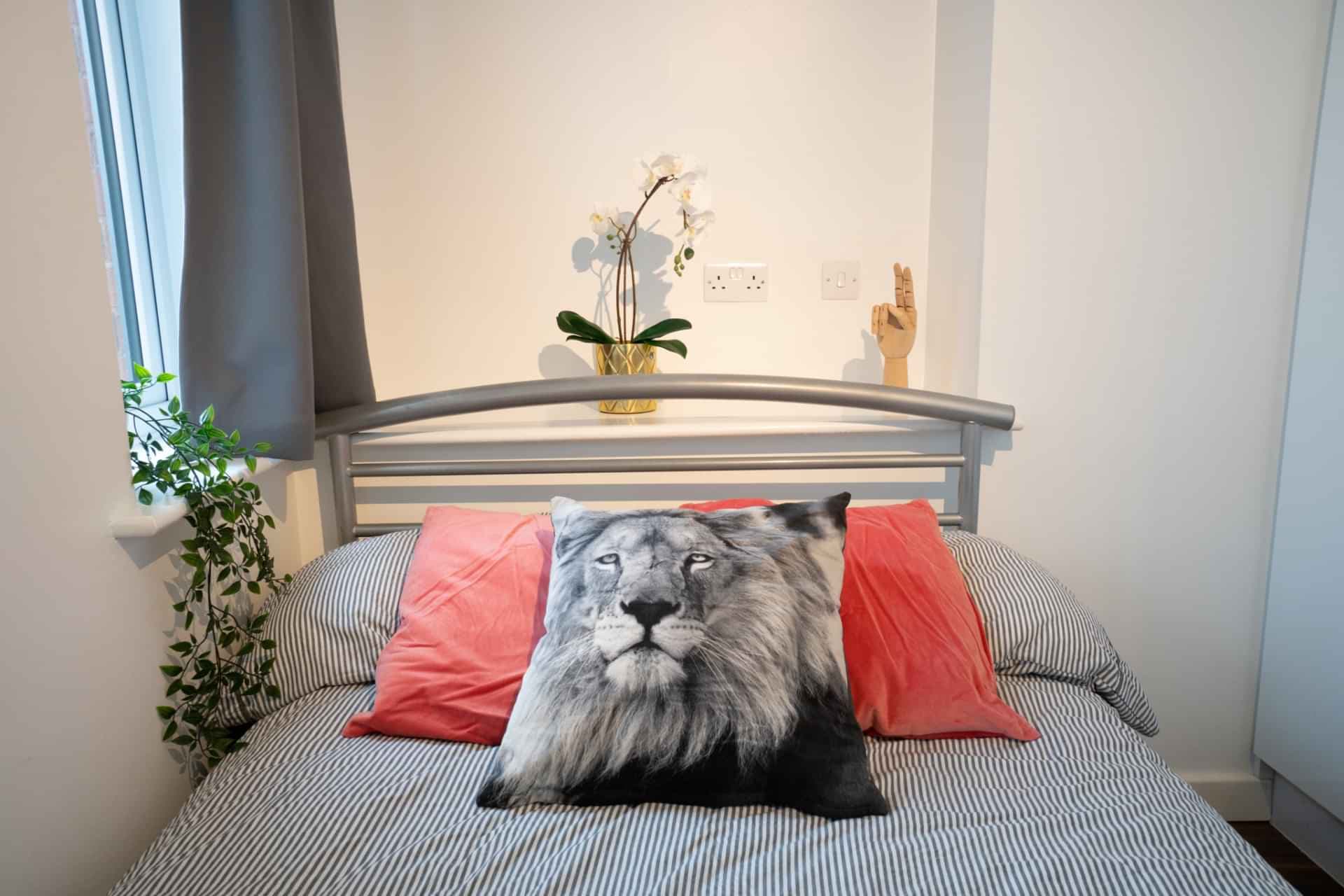 3 Bed En-Suite Cluster - Image 5