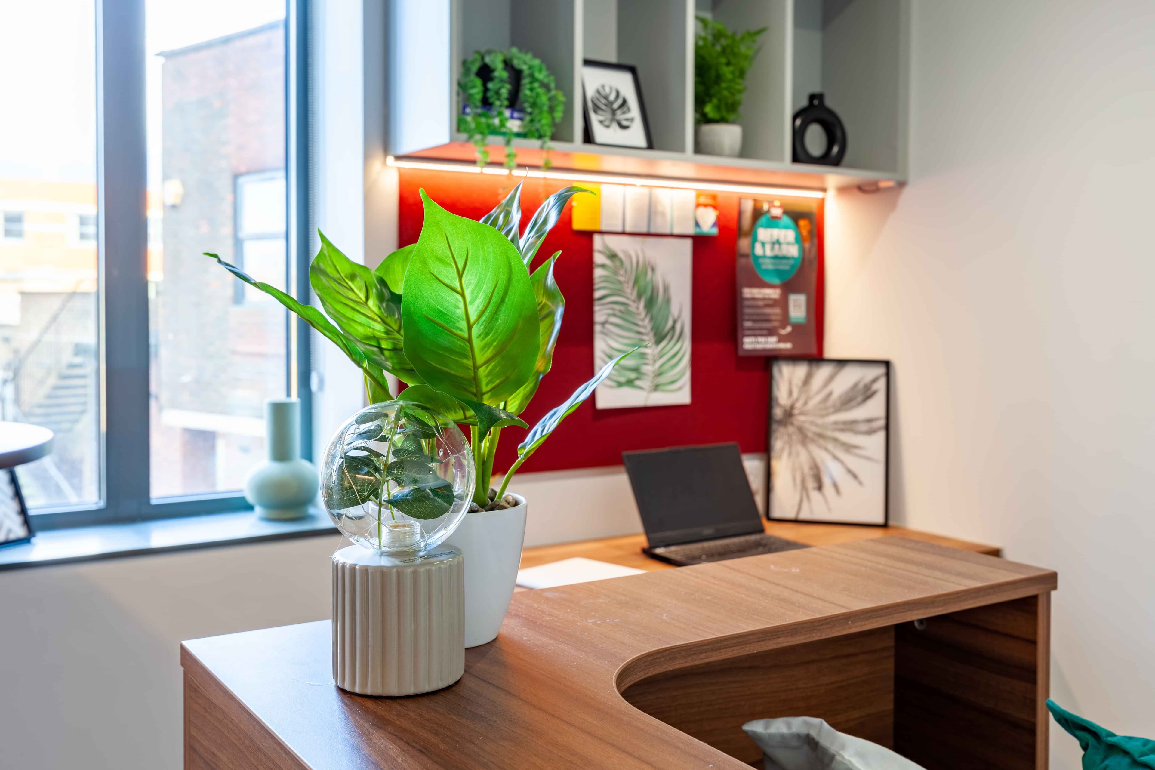 Premium Studio - Image 11