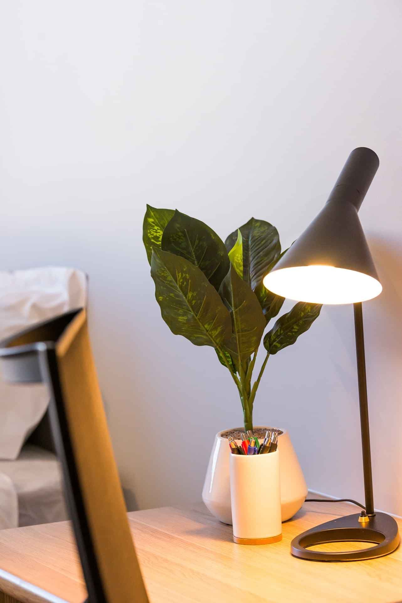 6 Bedroom Apartment With Ensuite - Image 22