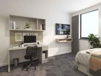 True Studio Plus - Image 2