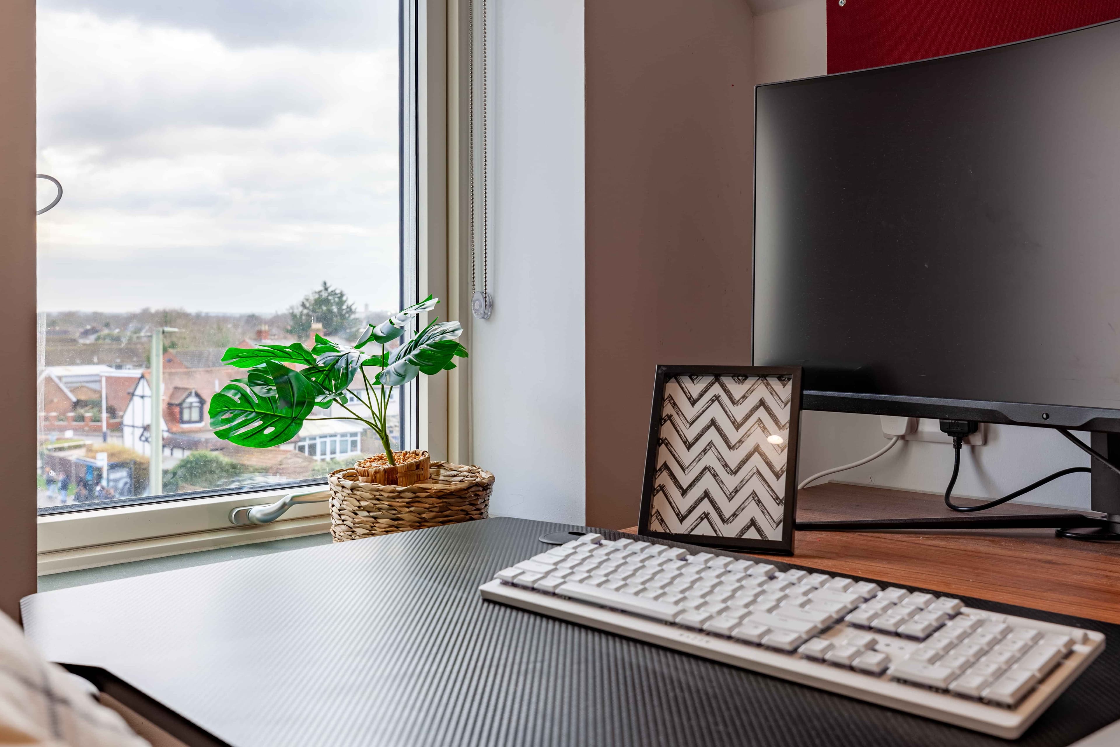 Deluxe Plus Studio - Image 6