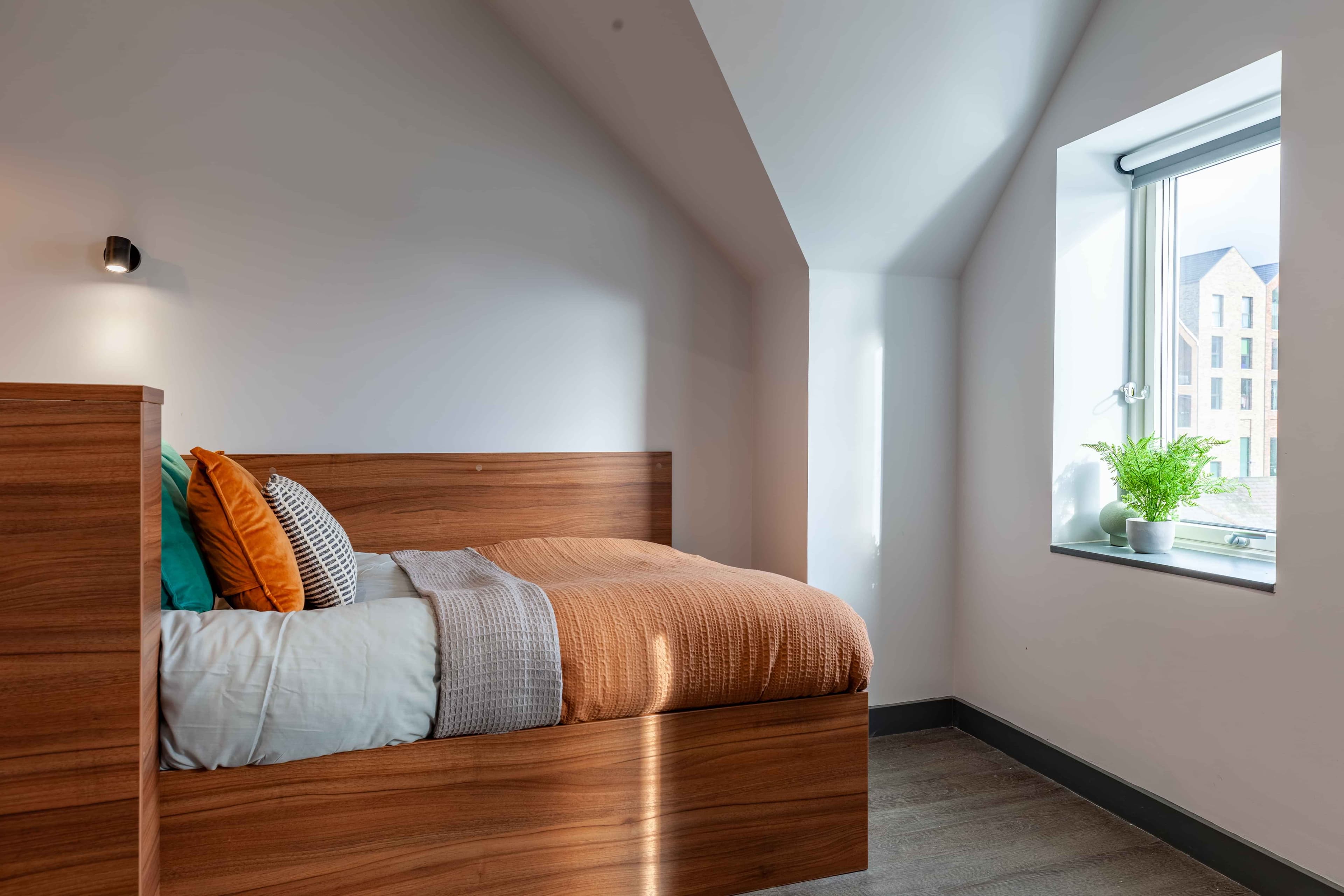 Deluxe Plus Studio - Image 4