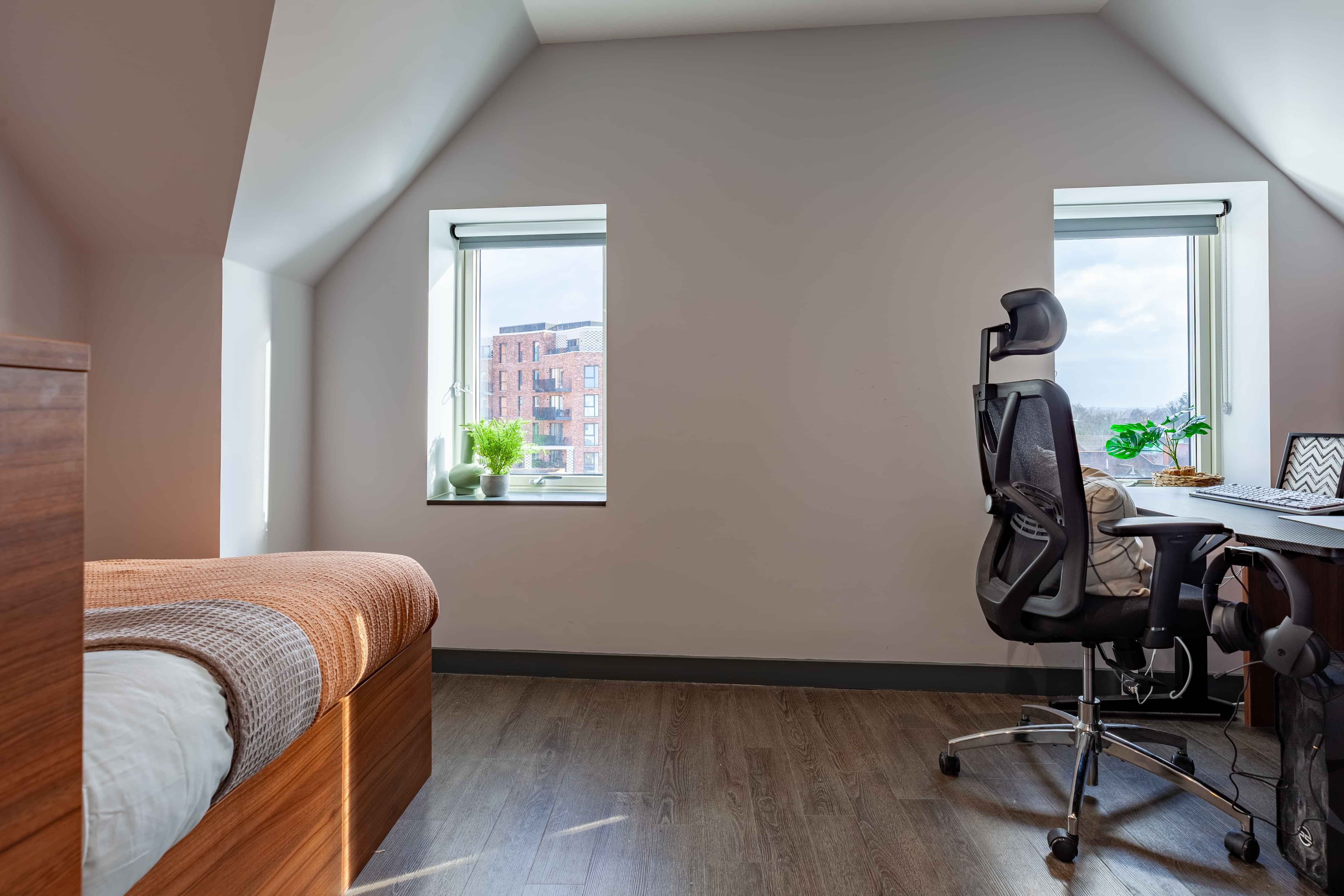 Deluxe Plus Studio - Image 1