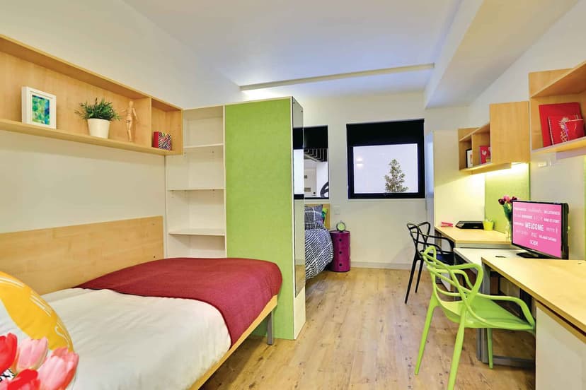 Large Twin, King Single Bed - Image 9