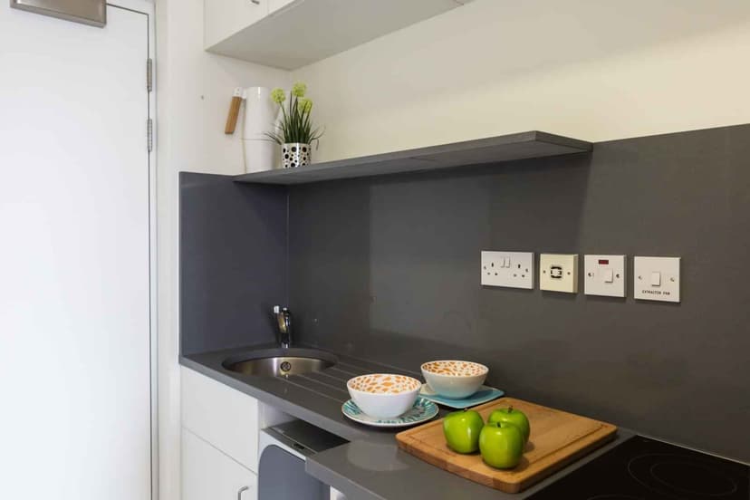 Bronze Studio Plus Lower Level - Image 5